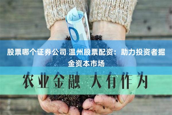 股票哪个证券公司 温州股票配资：助力投资者掘金资本市场
