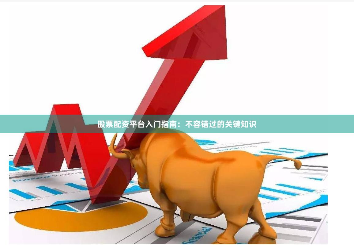 股票配资平台入门指南：不容错过的关键知识
