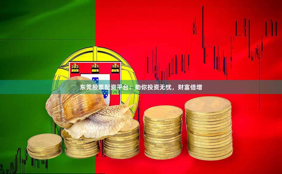 东莞股票配资平台：助你投资无忧，财富倍增