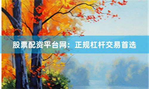 股票配资平台网：正规杠杆交易首选
